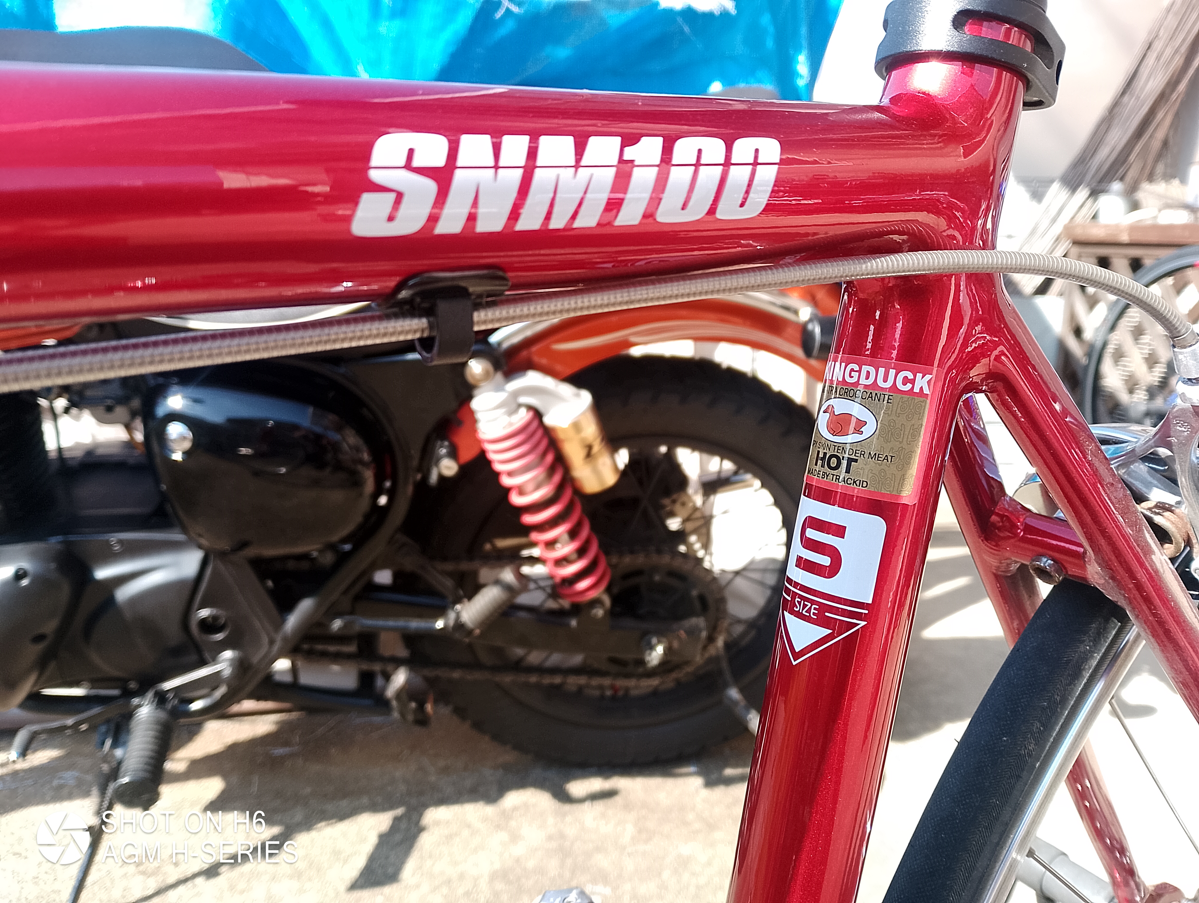 ton_mayer's ride